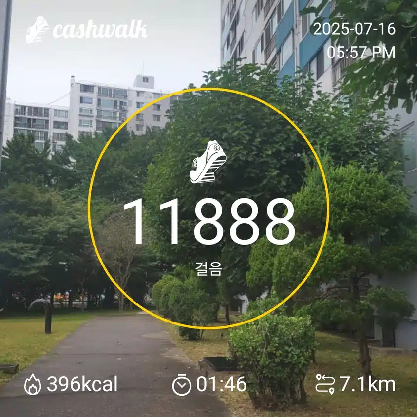 인증 