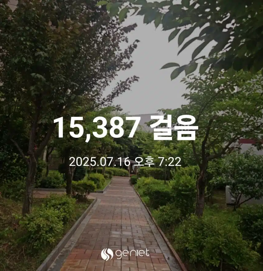 저녁식사 후 산책으로🏃