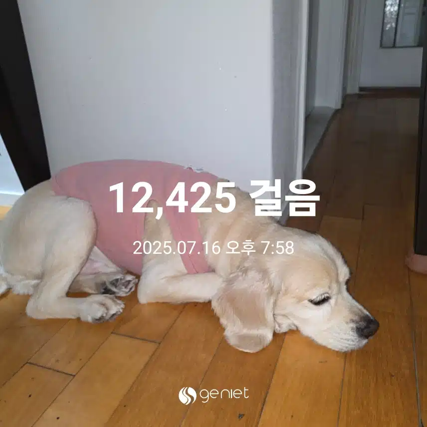 수요일 마무리 