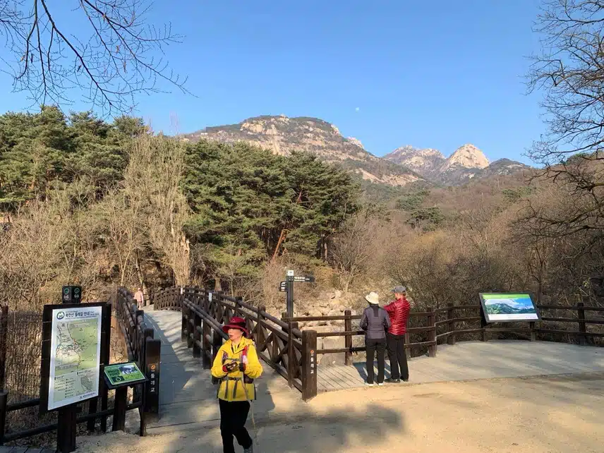 서울 도심에서 이렇게 가까이 자연을 느낄 수 있는 곳은 없죠 