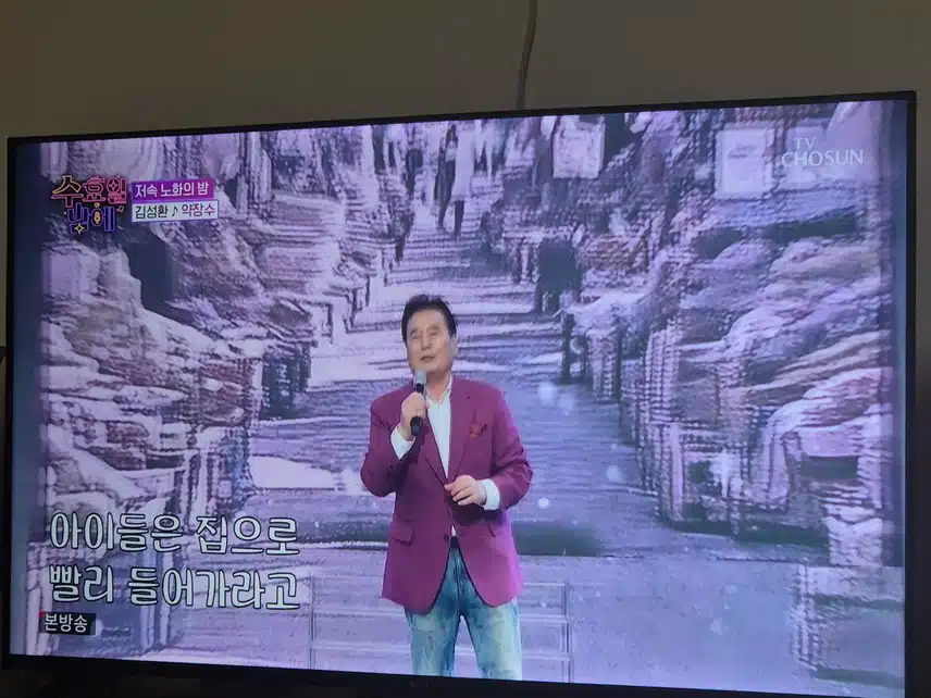 수밤에 김성환님이 나오셨네요 노래가 재미있네요