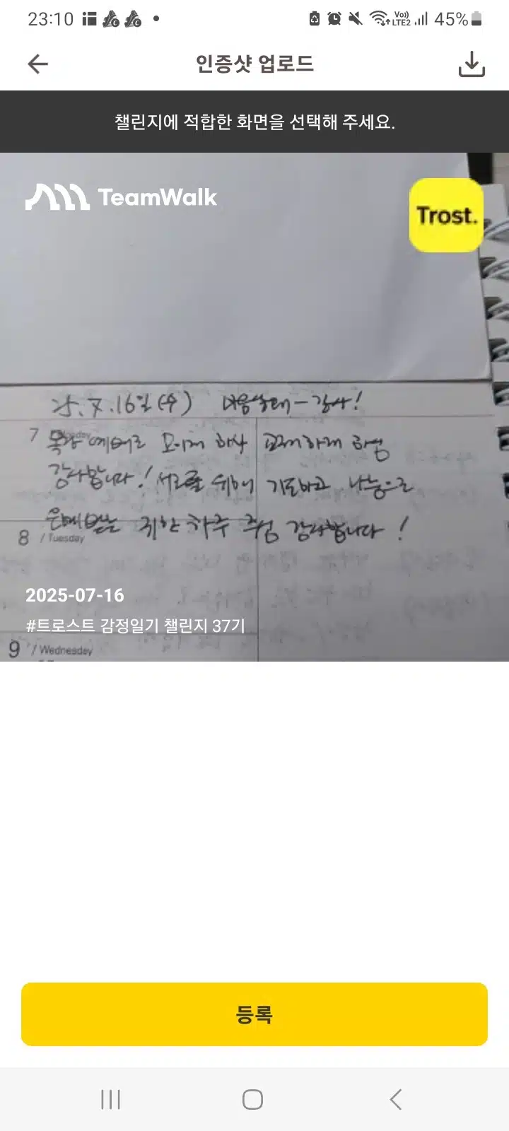감정일기 