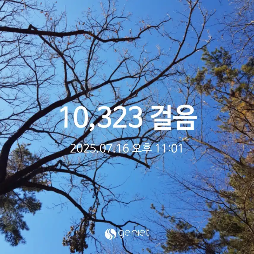 수요일 만보걷기!