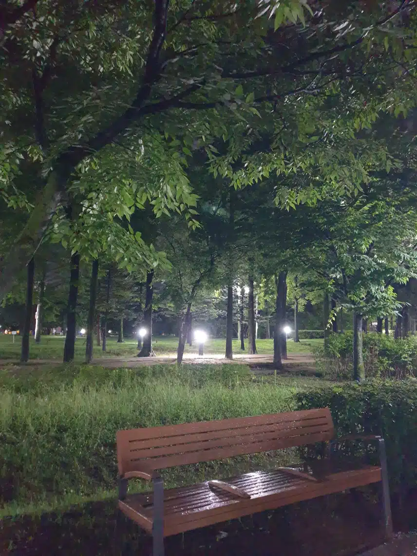아침 풍경
