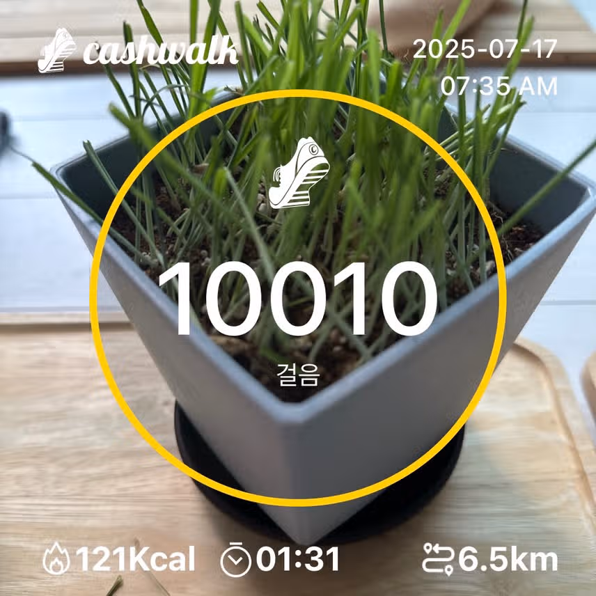 인증