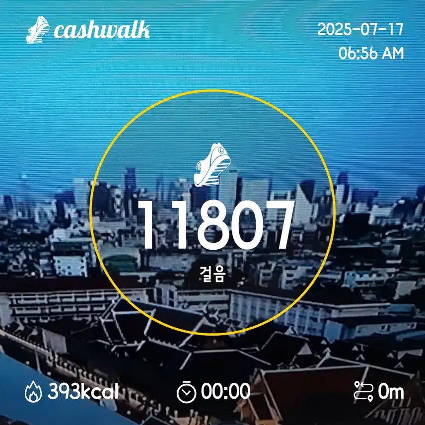 8일차 