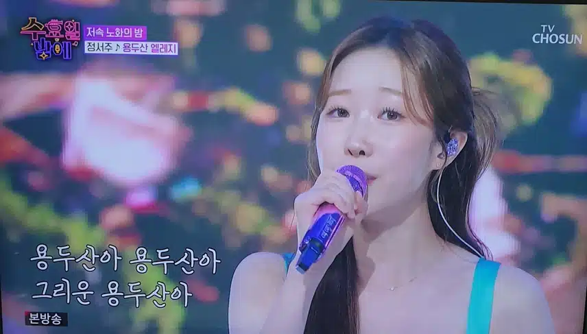 정서주님 엘레지의 여왕 등극 노래 진짜 최고네요