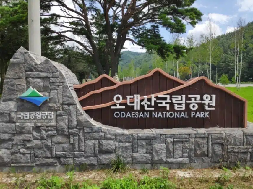 여름철 피서지로 오대산 국립공원 추천드립니다 