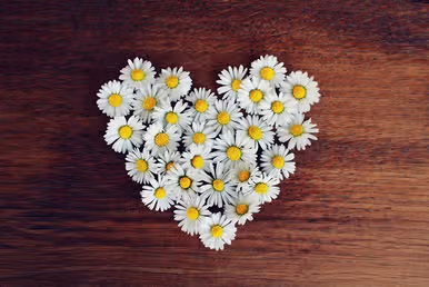 alt=Daisies-가사,Justin-Bieber-Daisies-가사,저스틴비버,저스틴비버-Daisies,Daisies-가사-해석
