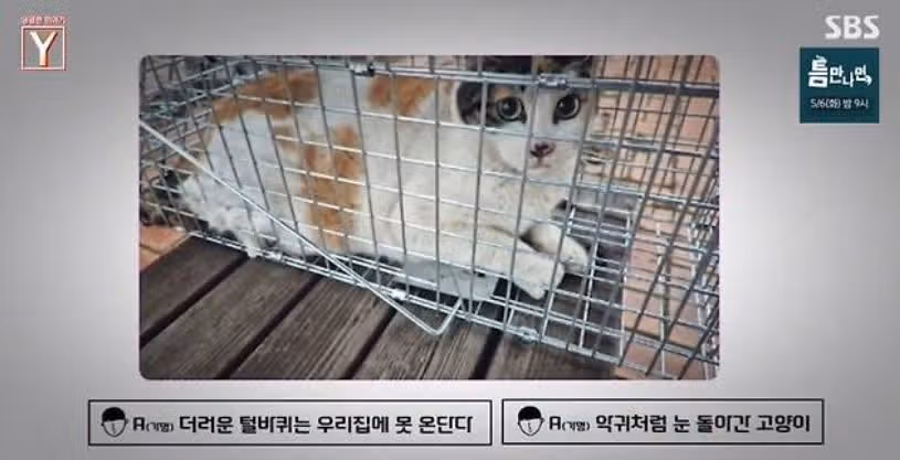 동물 학대범의 다음 타깃은 결국 힘이 부족한 '인간'이 될겁니다!