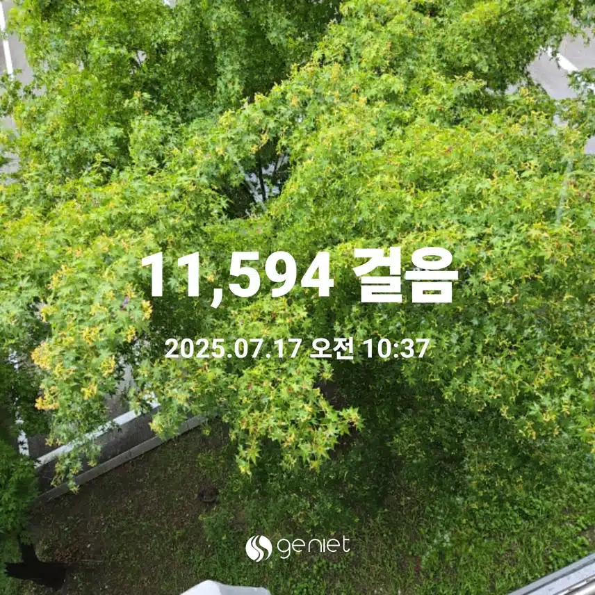 장마,,