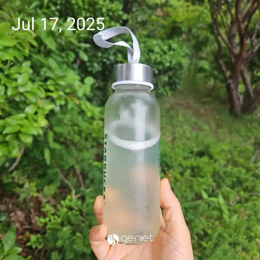 산책 후 레몬수로 🍋