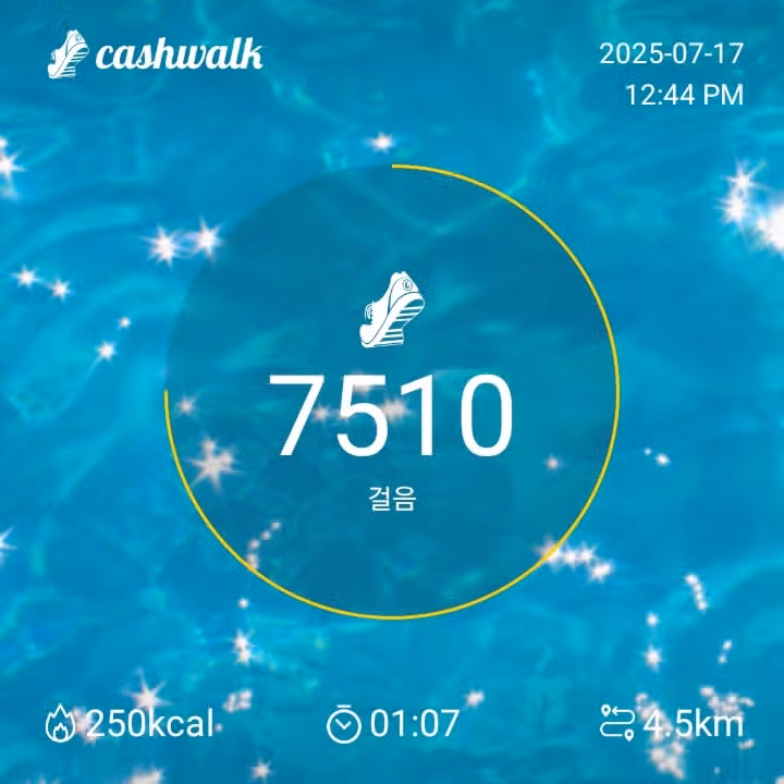 인증 