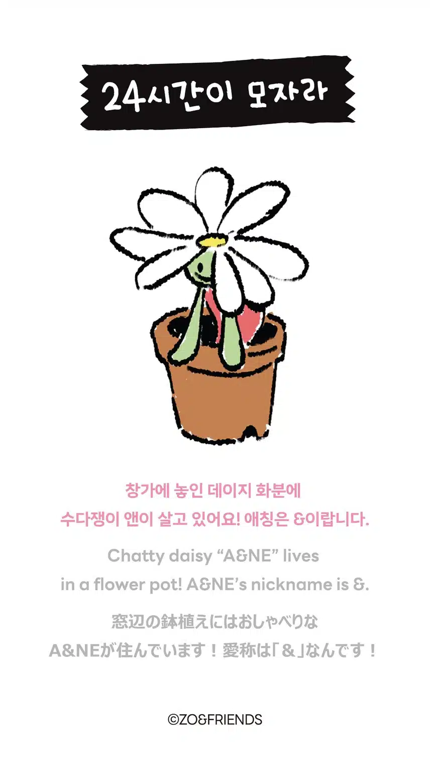 조앤프렌즈 '앤' 상세정보 업뎃 소식