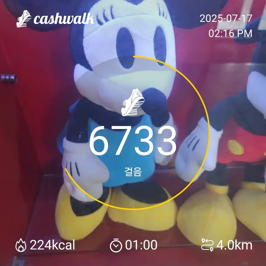 43기8일