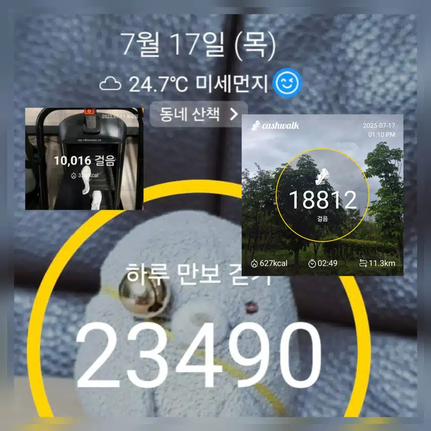 💪🦵근육 뽀샤쥬기 만보걷기 완료 ~🥰