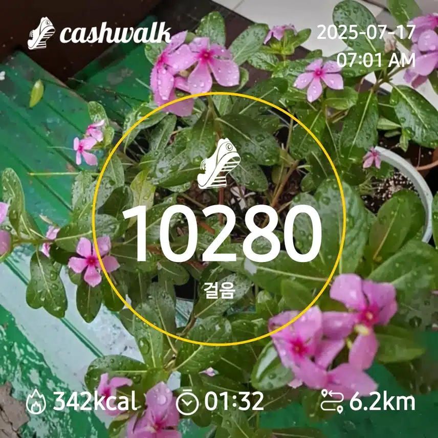 7000보 걷기