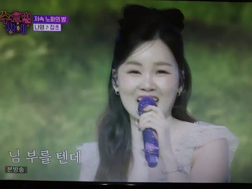 나영 잡초 무대
