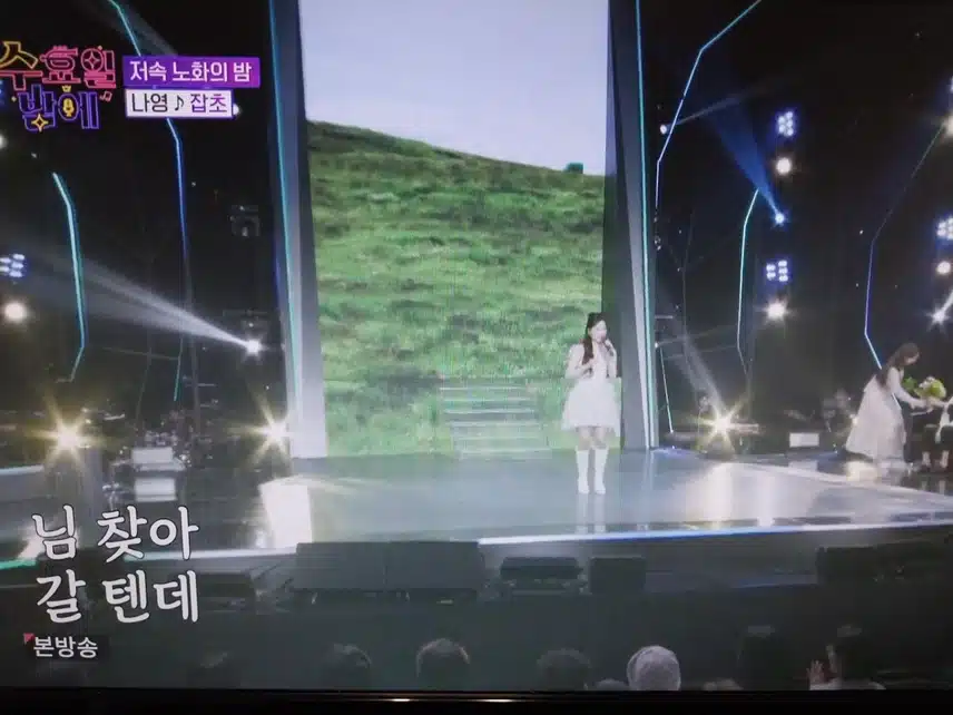 나영 잡초 무대