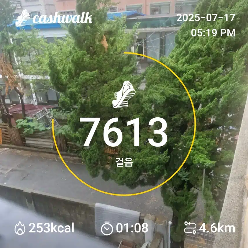 인증
