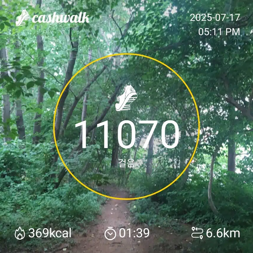인증 