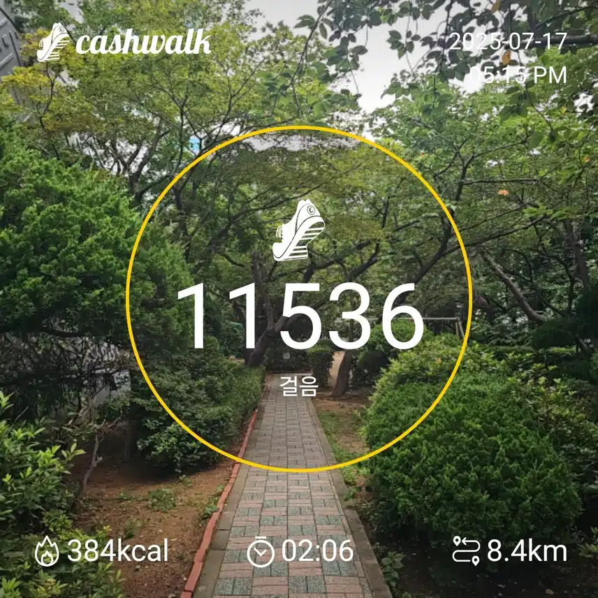 인증 