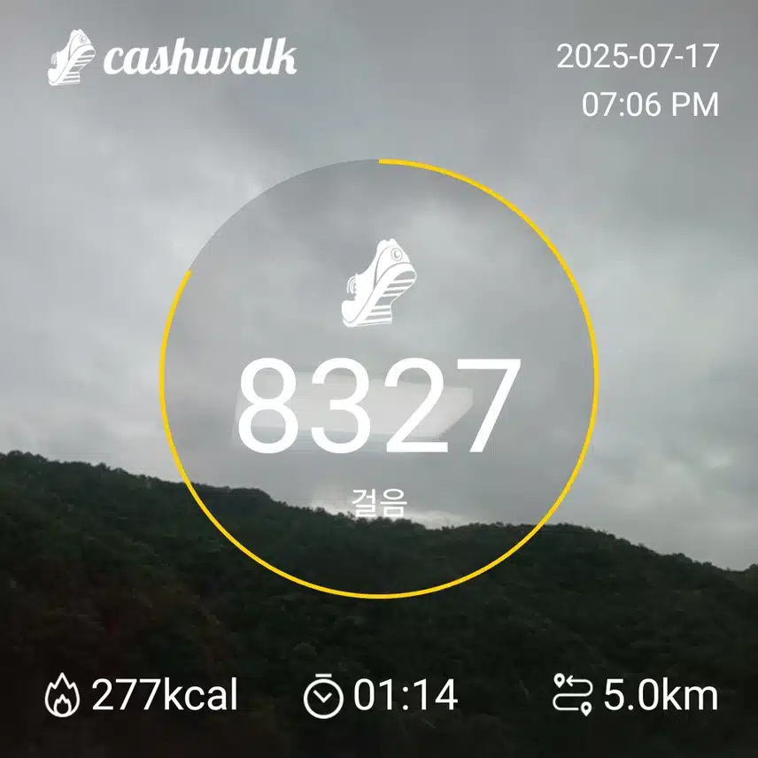 43기8일차