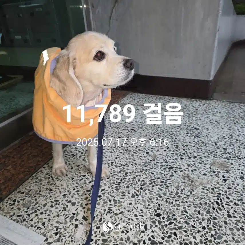 목요일 마무리 