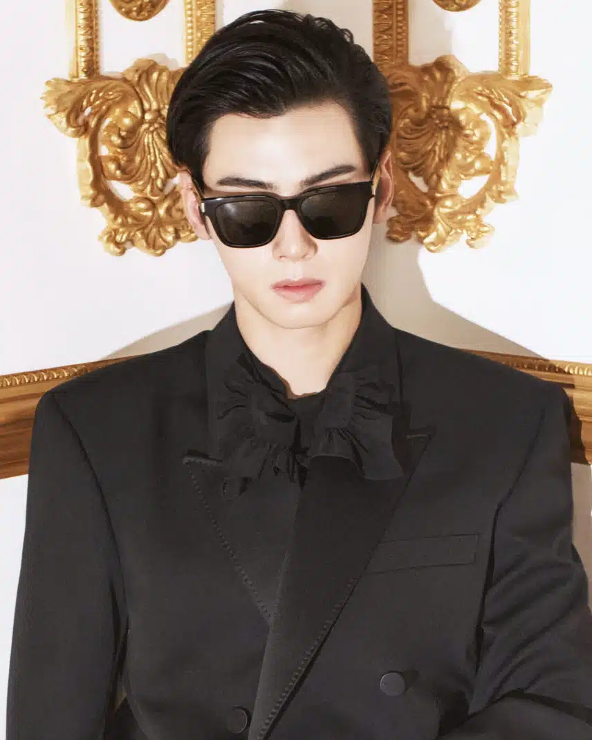 Il semblerait que la campagne Saint Laurent de Cha Eun-woo ait été dévoilée