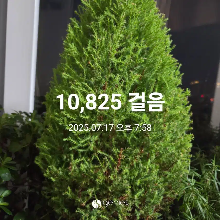 만보걷기운동 완료 