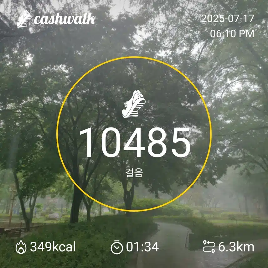 거세게 내리는 비