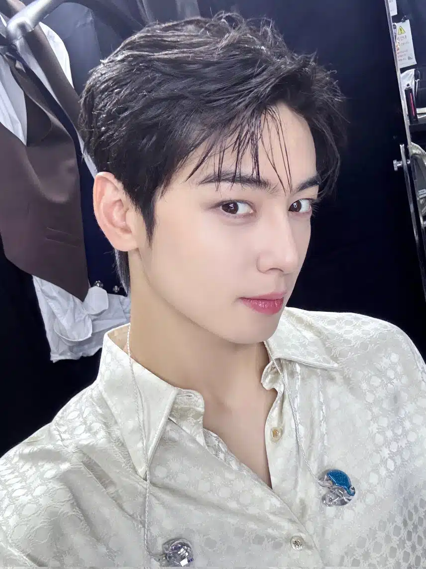 Les visuels du fan meeting de Cha Eunwoo ressemblent à ceux d'un vrai prince