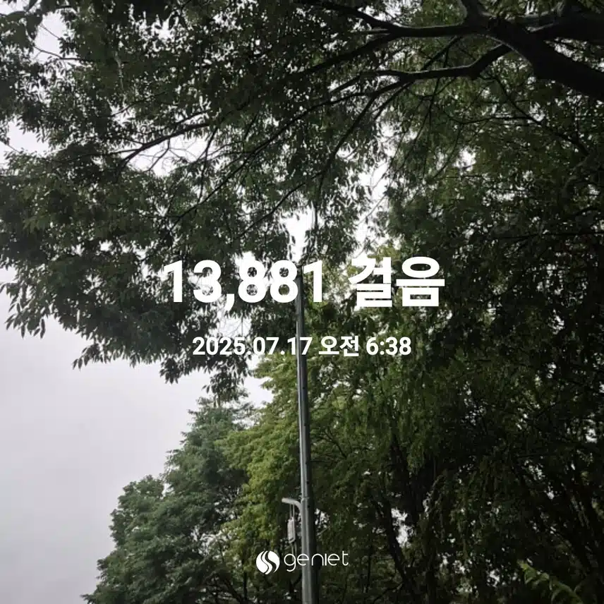 2025년 7월 17일 목요일 걷기 