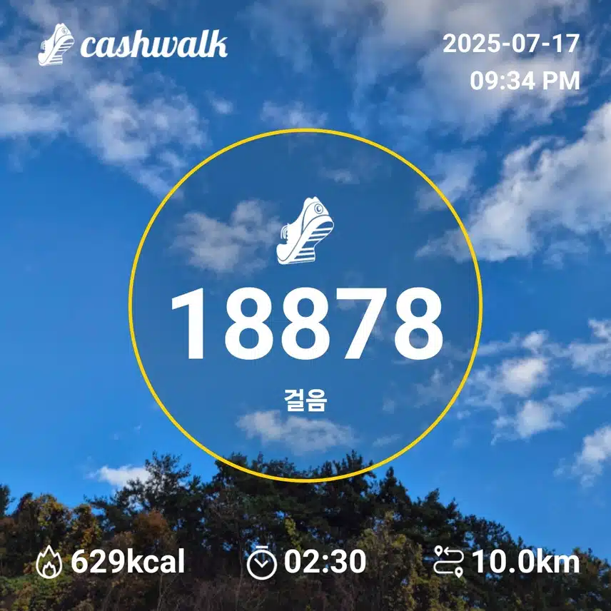 만보인증
