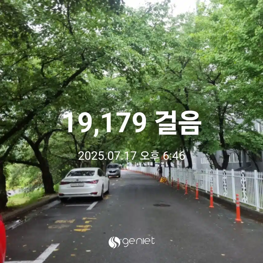 비와도 저녁산책 했어요