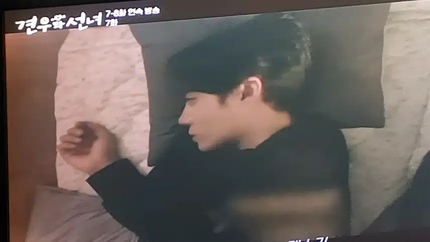 분위기가 다르네요