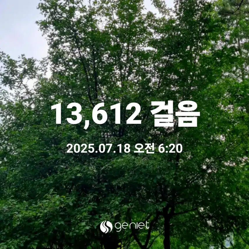    우산쓰고 만보걷기 새벽운동 