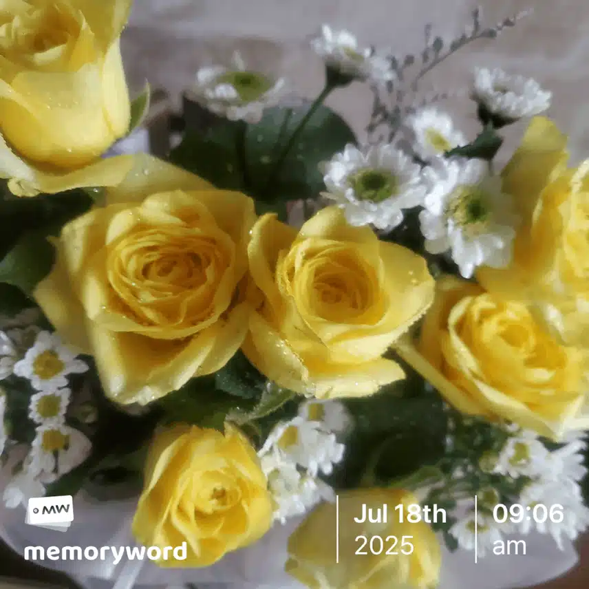 기분좋은 선물