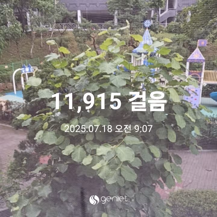 오전 운동 