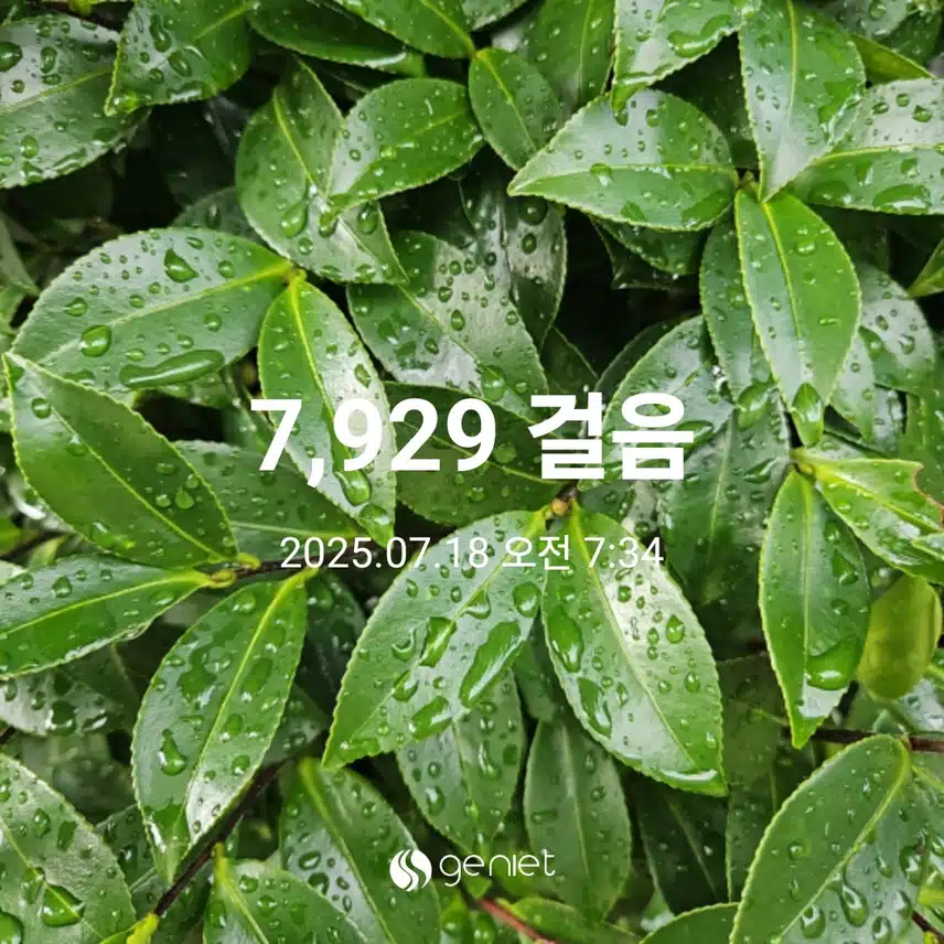 오전 산책으로 🏃 