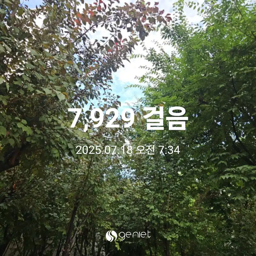오전 산책으로 🏃 