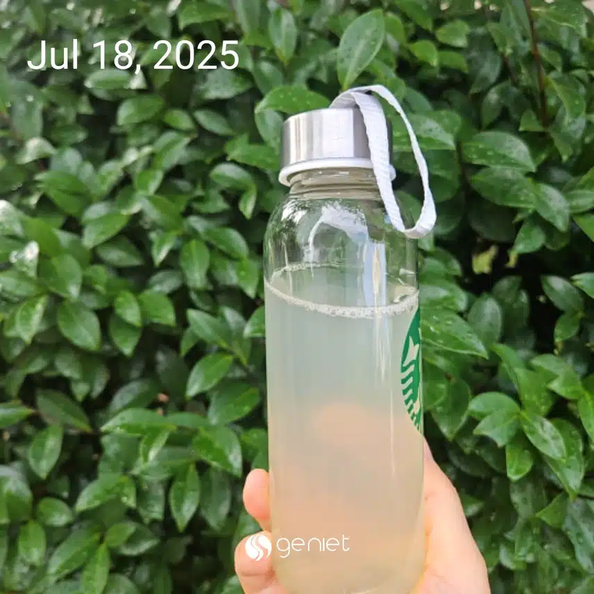 운동 후 레몬수로 🍋