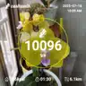 board-img