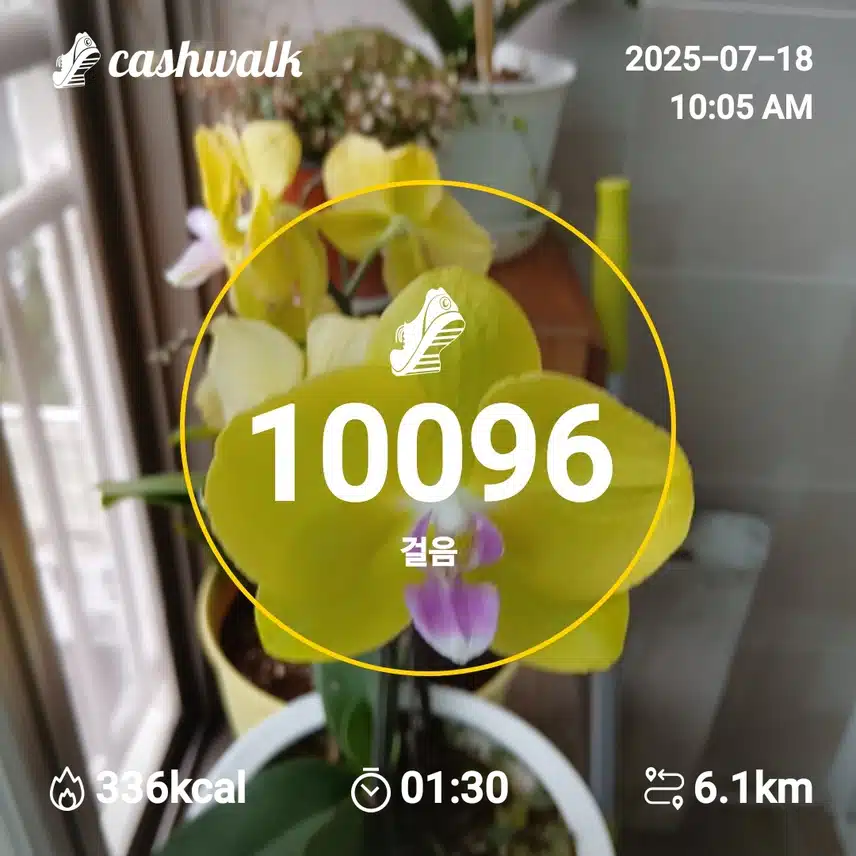 행복