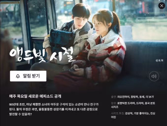 앵두빛 시절 중드 줄거리 뭐야? 앵도호박 넷플릭스 추천 (ft. 등장인물 결말)