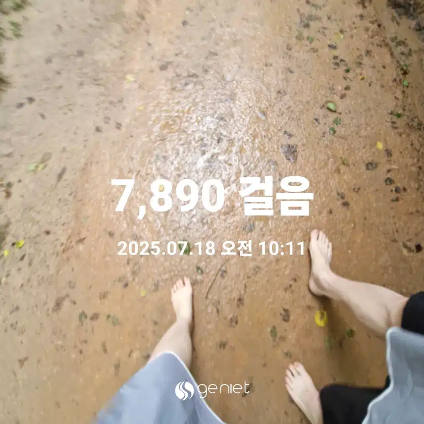 비온뒤 피톤치드 가득한  숲길