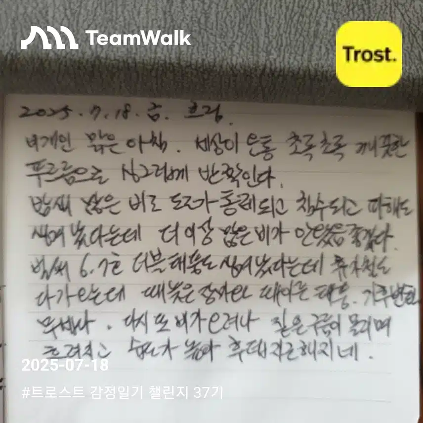 11일차
