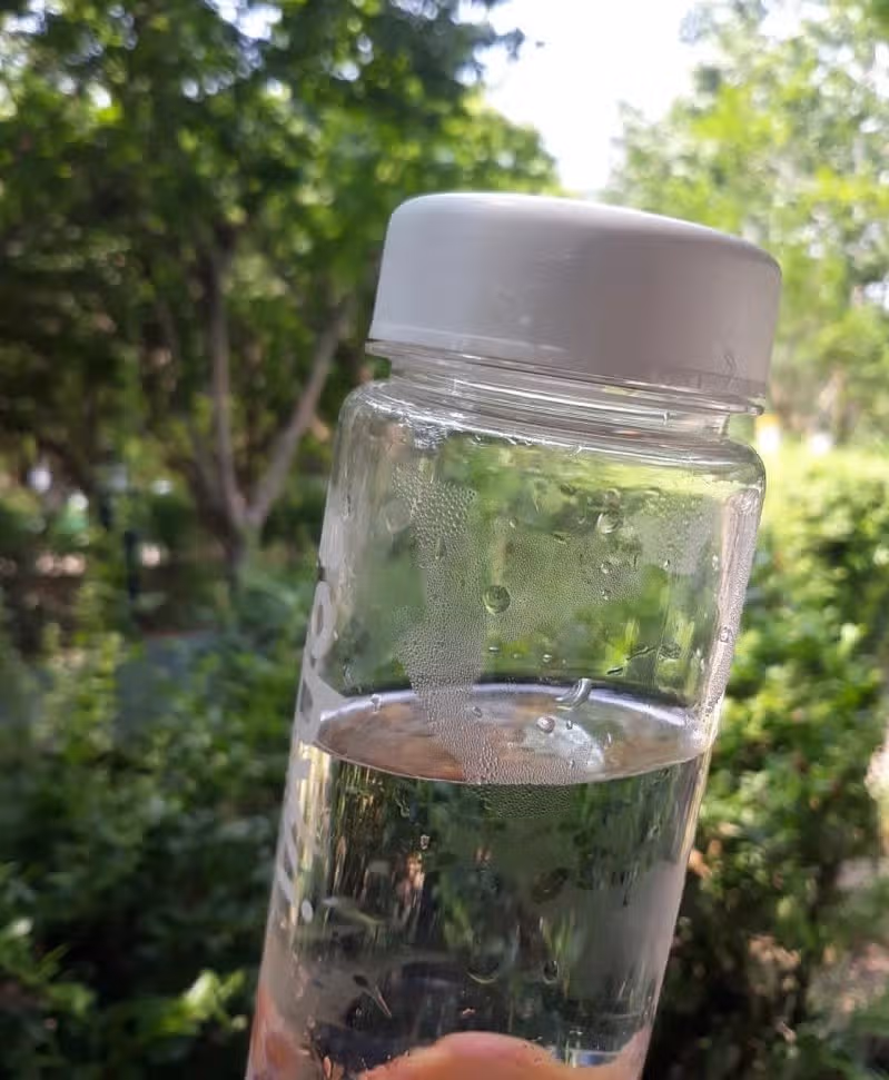 아침 산책