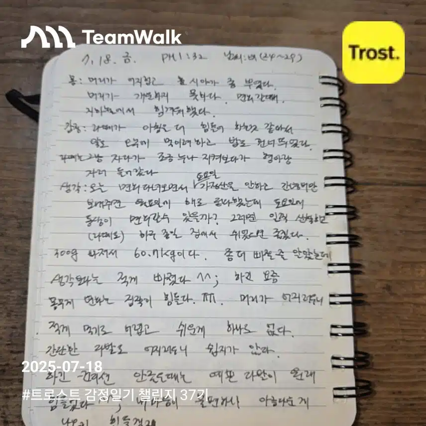 감정일기 37기 11일차 인증 