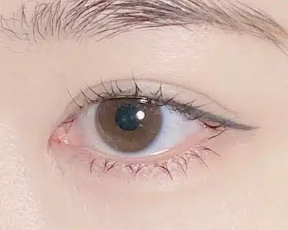 봄웜라의 데일리 찐애정템 3가지! (나스, 디올, 더툴랩)
